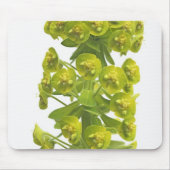 Euphorbiengummi Mousepad (Vorne)