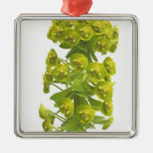 Euphorbiengummi Ornament Aus Metall (Vorne)