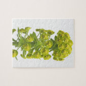 Euphorbiengummi Puzzle (Horizontal)