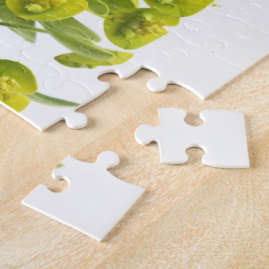 Euphorbiengummi Puzzle (Seite)