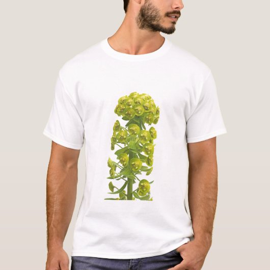 Euphorbiengummi T-Shirt (Vorderseite)