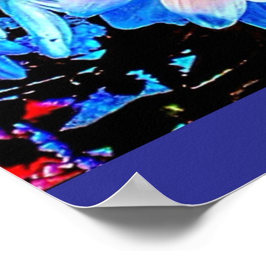 Euphoric Flowers  Poster (Ecke)