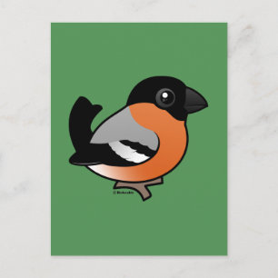 Eurasian Bullfinch Postkarte