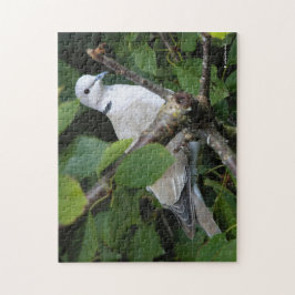 Eurasian Collared Dove auf dem Kirschbaum Puzzle