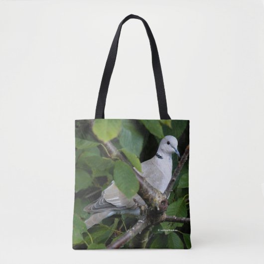 Eurasian Collared Dove auf dem Kirschbaum Tasche (Vorderseite)