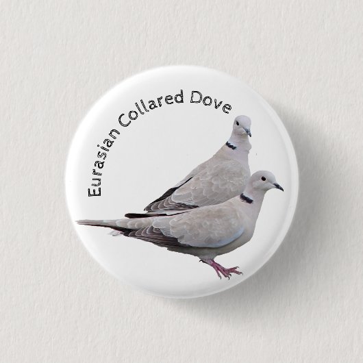 Eurasian Collared Dove Button (Vorderseite)