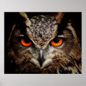 Eurasian Eagle-Owl Poster (Vorne)