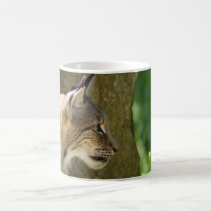 Eurasian Lynx Kaffeetasse