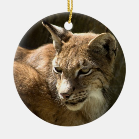 Eurasian Lynx Keramik Ornament (Vorne)