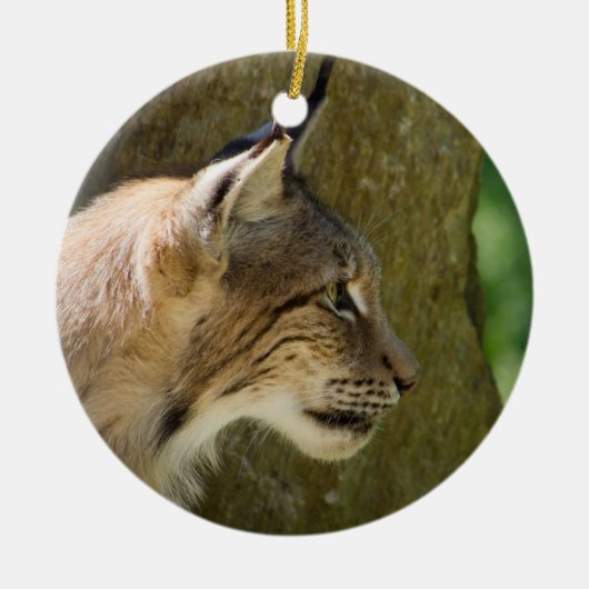 Eurasian Lynx Keramikornament (Vorne)