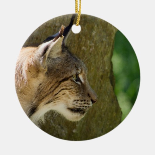 Eurasian Lynx Keramikornament (Vorne)