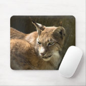 Eurasian Lynx Mousepad (Mit Mouse)