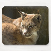 Eurasian Lynx Mousepad (Vorne)