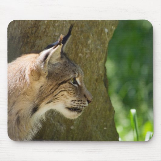 Eurasian Lynx Mousepad (Vorne)
