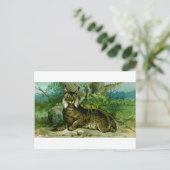 Eurasian Lynx Postkarte (Stehend Vorderseite)