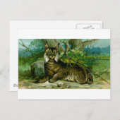Eurasian Lynx Postkarte (Vorne/Hinten)