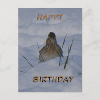 Eurasian Skylark Bird Cust. Text Birthday Postcard Feiertagspostkarte