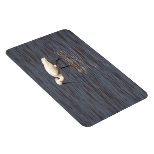 Eurasian Spoonbill Magnet (Rechte Seite)