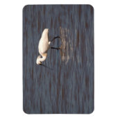Eurasian Spoonbill Magnet (Vertikal)