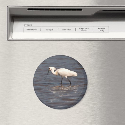 Eurasian Spoonbill Magnet (In Situ (Geschirrspüler))