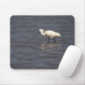 Eurasian Spoonbill Mousepad (Mit Mouse)