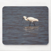 Eurasian Spoonbill Mousepad (Vorne)