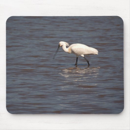Eurasian Spoonbill Mousepad (Vorne)