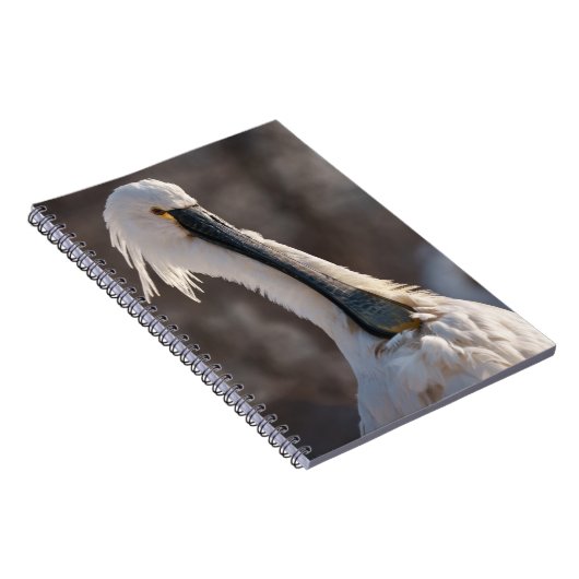 Eurasian Spoonbill Notizblock (Rechte Seite)