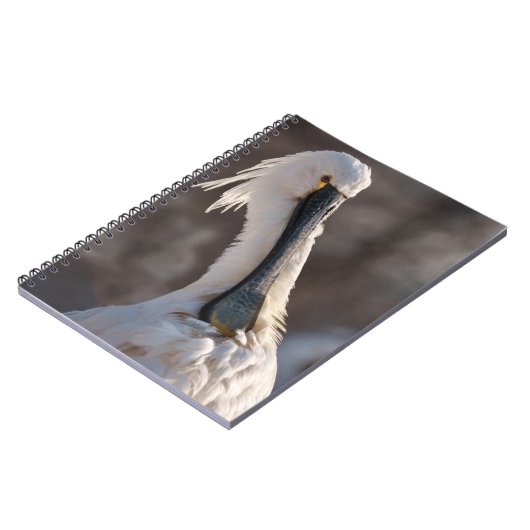 Eurasian Spoonbill Notizblock (Linke Seite)