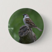 Eurasian Tree Sparrow Button (Vorderseite)
