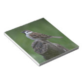 Eurasian Tree Sparrow Notizblock (angewinkelt)