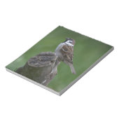 Eurasian Tree Sparrow Notizblock (Rotiert)