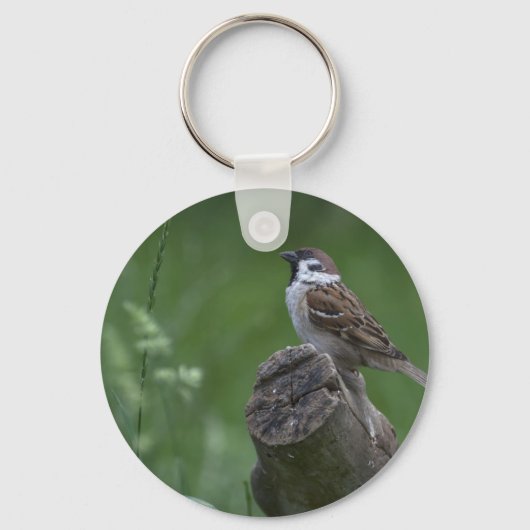 Eurasian Tree Sparrow Schlüsselanhänger (Vorderseite)