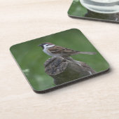 Eurasian Tree Sparrow Untersetzer (Linke Seite)