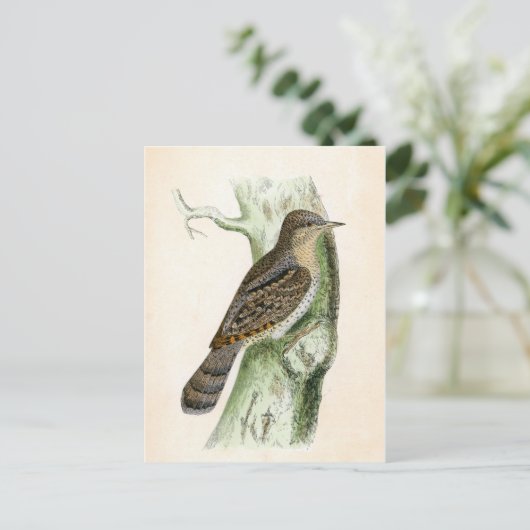 Eurasian Wryneck Postkarte (Stehend Vorderseite)
