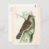 Eurasian Wryneck Postkarte (Vorne/Hinten)