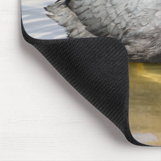 EurasianCoot Mousepad (Ecke)