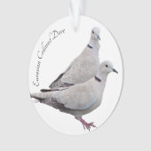 Eurasier ergatterte Taube Ornament (Vorderseite)