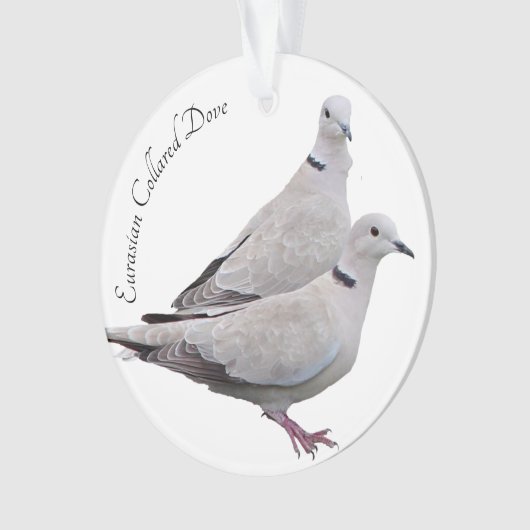 Eurasier ergatterte Taube Ornament (Vorderseite)