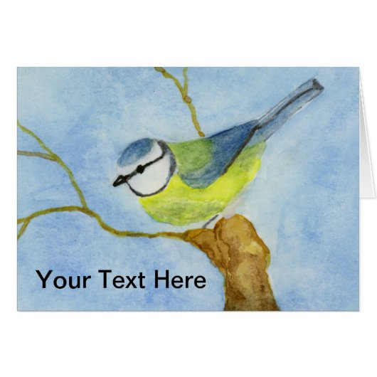 Eurasion Blue Tit (Vorderseite (Horizontal))