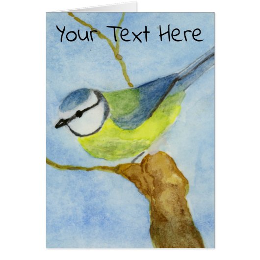 Eurasion Blue Tit (Vorne)