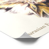 Eurasische Adler Owl Ornithological Fine Art Poste Poster (Ecke)