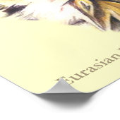 Eurasische Adler Owl Ornithological Fine Art Poste Poster (Ecke)