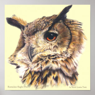 Eurasische Adler Owl Ornithological Fine Art Poste Poster