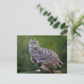 Eurasische Eule Owl Postkarte (Stehend Vorderseite)