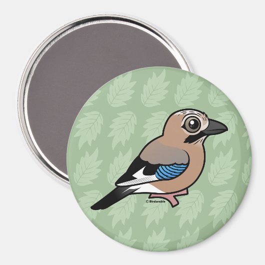 Eurasische Jay Magnet (Vorderseite/Rückseite)