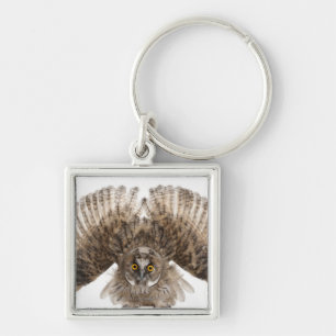 Eurasische Scops-Eule - Otus scops (2 Monate alte) Schlüsselanhänger