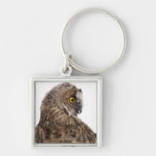 Eurasische Scops-Eule - Otus scops (2 Monate alte) Schlüsselanhänger
