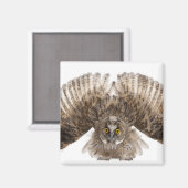 Eurasische Scops-owl - Otus scops (2 Monate alt) Magnet (Vorderseite/Rückseite)