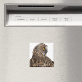 Eurasische Scops-owl - Otus scops (2 Monate alt) Magnet (In Situ (Geschirrspüler))